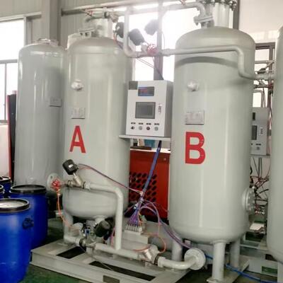 PSA Nitrogen Generator with 0.1-0.65Mpa Pressure and 30Nm3/h Output Capacity Featuring PLC Control